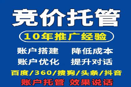 探索专业SEM托管的奥秘：从案例看效果